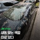 씨즈뱅크