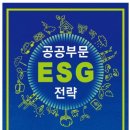 공공부문 ESG 전략(홍형득외 공저, 대영문화사) 이미지