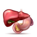 수성속내과의원 이미지