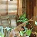 하)힐링요가 이미지