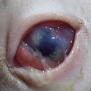 더프라임동물의료원 이미지