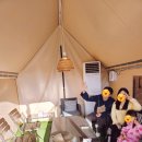 애견가족 | 용인 바베큐장 캠프쿡 애견동반 가족모임 가능한 도심 캠핑 후기