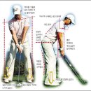 베스타골프 이미지