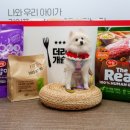 리얼펫스튜디오 네이버블로그
