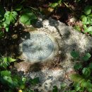 고개쉼터 이미지