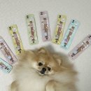 호두미트 | 네츄럴코어 미트스틱 강아지간식