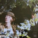 작은 불꽃 이미지