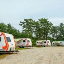 오션그린 이미지