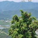 신화랑풍류숲길 이미지