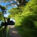 하얏트리젠시제주 이미지