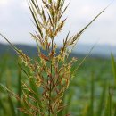 운대2리 이미지