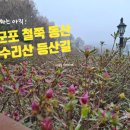 수리산 | 군포 철쭉축제 전 방문 후기, 개화상태와 수리산 등산