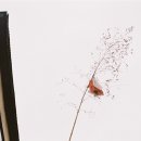 소도수사 | [리뷰] 이성원 외_방치된 믿음