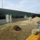 괴평리 마을회관 이미지