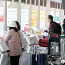 대한국제여행사 이미지