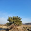 용설농장 이미지