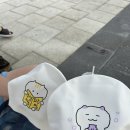 백수 일상 블로그 - 입추 매직