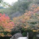 Wooden bridge in Autumn 이미지
