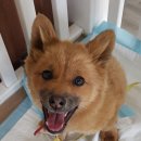 의병대로 이미지