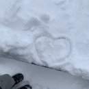 보드타고 동화속으로 | 프리미어룸 빈티지 감성 덕유산 리조트 무주 스키장 겨울감성숙소 1박2일 후기 티롤호텔 슬로프뷰 변경방법