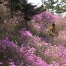 (주)선산터미널 이미지