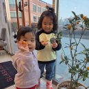 글라스365안경원 이미지