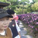 인혜농장 이미지