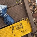 남조로수망교차로 3 | 무직 부녀의 제주 2박 3일 기록(광치기해변/제주레일바이크/물영아리습지/수망다원/쇠소깍/정방폭포...