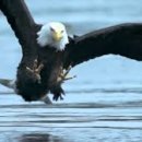 맛의부활 이미지