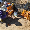 부신농장 이미지