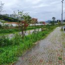 계룡타워 이미지