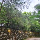 배내골펜션 솔밭휴양림 이미지