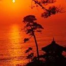 포크통기타 이미지