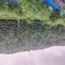 이고농산 이미지