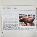 대우식육점