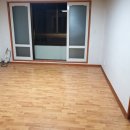 노형초등학교 이미지