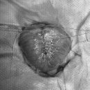 24시 양주 힐 동물의료센터 이미지