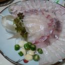 벽강물회 이미지