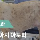 정원동물병원 이미지