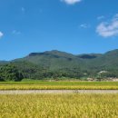 연화무역 이미지