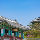 수원-0192 Daum카페