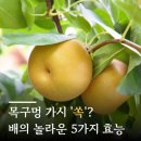 송화비타민과일 | 기관지 가습기가 여기 있네? 목 아플 때 과일 '배' 먹으면 생기는 효능 5가지