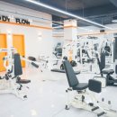 홈트 근력운동 이미지