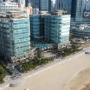 팔레드시즈