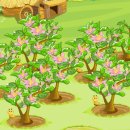 햇빛목장 이미지