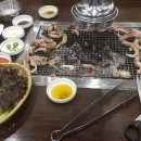 대교꼼장어