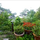 모노포레스트 이미지