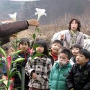 광판초병설유치원 이미지
