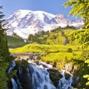 자연-이미지 이미지