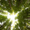 펄라이트존(ZONE) 이미지